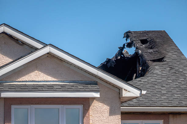 Top rated local Odor Removal specialists in Croydon, PA